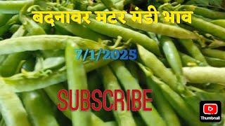 badnawar mandi bhav बदनावर मंडी भाव 7 January 2025