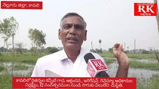 కావలి బిట్ 1 లో,రైతన్నలకు అన్యాయం,* ఇరిగేషన్, రెవెన్యూ* అధికారుల నిర్లక్ష్యం,//**JRK NEWS **//