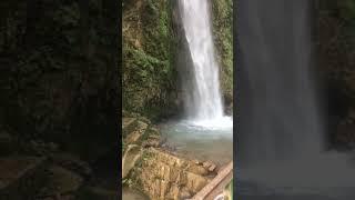 Tiger fall👌🏻chakrata🍁Dehradun🍡 uk​⁠🌸Hillprominence  status