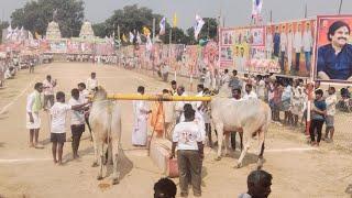 3 జాతా 6 పల్లు ధర్మవరం ||SSR BULLS సాధన restrent bulls శ్రీనివాసరావు...