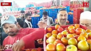 "सोलन सब्जी मंडी में 800 रुपए क्रेट तक बिका टमाटर, 10 दिनों से भाव में आई गिरावट