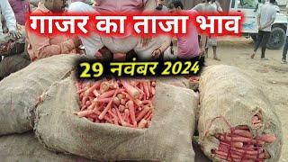 गाजर का ताजा भाव | बर्डोद गाजर मंडी  | carrot price | Bardod बहरोड़ गाजर मंडी राजस्थान