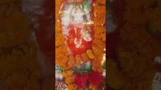 मधेपुरा का शीतला मां