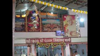 श्री १००८ श्री चन्द्रप्रभु जिनालय पाली  2024  नगर पंचायत  पाली ललितपुर Day-5