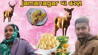 જામનગર મા હરણ જોયા || SU KHADHU JAMNAGAR || JVVLOG 🙏🏻 જય ચામુંડા મા 🙏🏻 VLOG-139