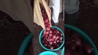 Nasik Maharashtra onion magic 🤩😍😍