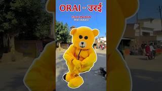 Teddy Dancing Orai - उरई