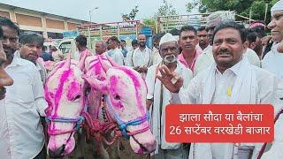 झाला सौदा जोडीचा | झाकली मुठ सव्वा लाखाची | अनवर शेठ चाळीसगाव | Varkhedi Bail Bazar