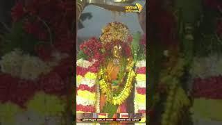 ஸ்ரீவில்லிபுத்தூர் ஆண்டாள் கோவில் "எண்ணெய் காப்பு உற்சவம்" | srivilliputhur andal koil