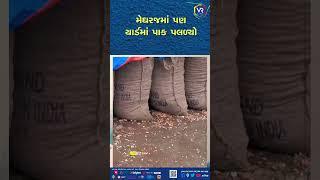 અરવલ્લી જિલ્લામાં માવઠાની સ્થિતિ