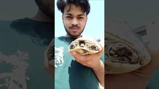 Tortoise ko rescue करके छोड़ा पक्का तालाब इटावा में 🥰🥰