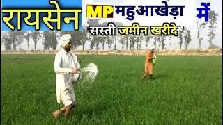 रायसेन महुआखेड़ा में सस्ती जमीन बिकाऊ/Cheap land for sale in Raisen Mahuakheda