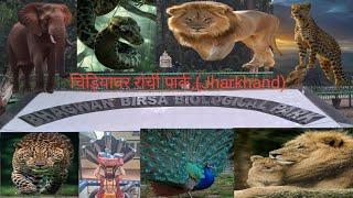 आज आपको हम ले जा रहे हैं रांची ओरमांझी पार्क घूमने के लिए.🦒🐊 🦚 🐒 🐅