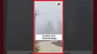 ঘন কুয়াশার দখলে মন্দিরনগরী Bishnupur