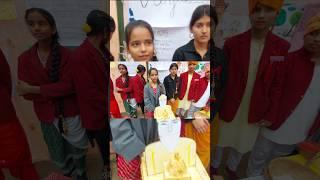 Punjab & Amritsar Culture Explained | School Exhibition