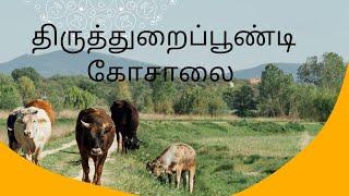 திருத்துறைப்பூண்டி கோசலை