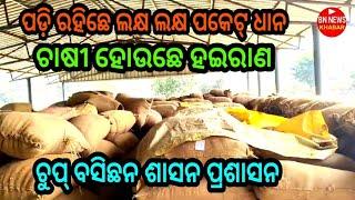 ଲକ୍ଷ ଲକ୍ଷ ପକେଟ୍ ଧାନ ପଡ଼ିଛେ ମାର୍କେଟ ରେ । ଶାସନ ପ୍ରଶାସନ ଚୁପ୍ ଚାଷୀ ହଇରାଣ