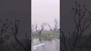 Keoladeo National Park bharatpur bird sanctuary