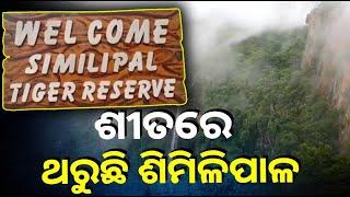 ମୟୁରଭଞ୍ଜ ଜିଲ୍ଲାରେ ସର୍ବନିମ୍ନ ତାପମାତ୍ରା ୭ ଡିଗ୍ରୀକୁ ଖସିଛି ||Knews Odisha