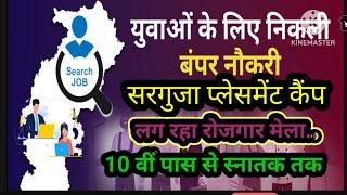 सरगुजा अंबिकापुर छत्तीसगढ़ प्लेसमेंट कैंप ! लग रहा रोजगार मेला सरगुजा छत्तीसगढ़ में