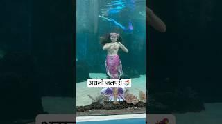 Real Jalpari | असली जलपरी🧜‍♀️ | Jalpari video raigarh