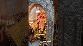 जय मां हरसिद्धि देवी रानगिर सागर मध्य प्रदेश 🌺🙏28/11/2024🌺🙏