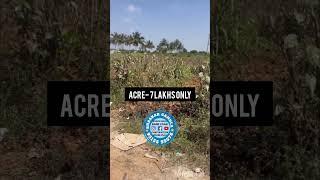 750 Acres Agricultural Land for Sale || Kurnool District