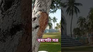 বৰপেটা সত্ৰ ||