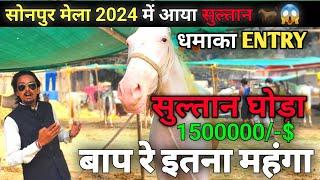 SONPUR MELA 2024 | इस साल का सबसे 🔥महंगा घोड़ा | सोनपुर मेला में आया सुल्तान घोड़ा😱 | घोड़ा बाजार |