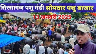 13 जनवरी 2025 पशु मंडी | सिरसागंज पशु मेला | pashu mandi Sirsaganj/हरियाणा नस्ल की भैंस | pashu Mela