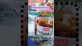 9944244122 கொடைக்கானல் மலைப்பகுதியில் புவிசார் குறியீடு பெற்ற மலைப் பூண்டு “Garlic is as good