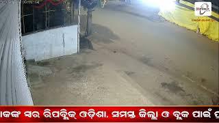 LIVE || କୁନ୍ଦୁରା ସଦରରେ ଭାଲୁ ଆତଙ୍କ .. || REPUBLIC ODISHA