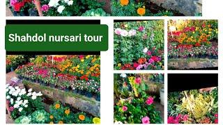 शहडोल नर्सरी टूर/Shahdol nursari tour/नर्सरी से मैने कोन से प्लांट लिए/pyara_57_garden