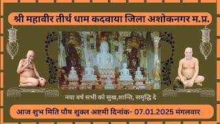 श्री 1008अतिशयकारी महावीर धाम कदवाया जिला अशोकनगर म.प्र.आज की शान्तिधारा दिनांक-07.01.2025 मंगलवार