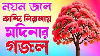 নয়ন জলে কান্দি নিরালায় | মদিনার গজল |নতুন গজল |বাংলা গজল