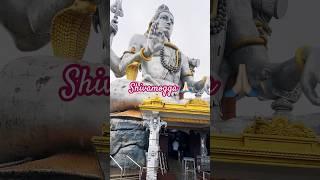 #shiva #shivamogga #murdeshwartemple #shivshankar #blessed #ytshorts #viral 🔥