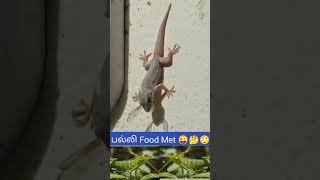 Palli Food Met "Short Tamil...