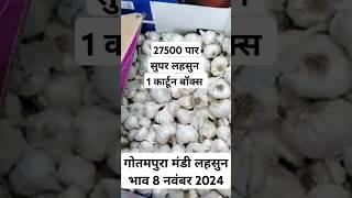 गोतमपुरा मंडी लहसुन भाव 8 नवंबर 2024