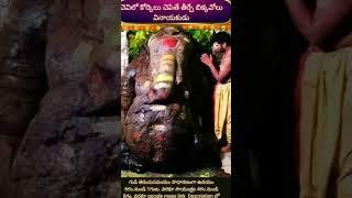 చెవిలో  కోర్కెలు చెపితే తీర్చే బిక్కవోలు వినాయకుడు