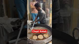 Best Chapli Kebab in Delhi ❤️✅ | Kebabish by Tanveer |