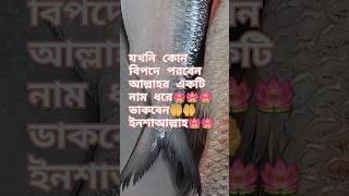 বিপদে পরলে আল্লাহর একটি নাম ধরে ডাকুন ইনশাআল্লাহ 🔥