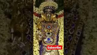 Sri kalahasti | శ్రీకాళహస్తి దేవాలయంలో వుంచలసేవ.