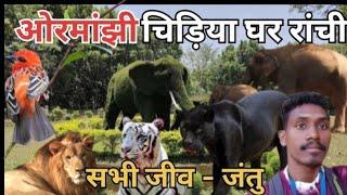 ormanjhi chidiya ghar Ranchi Ranchi chidiya ghar zoo ranchi ormanjhi birsa munda javik udayan animal