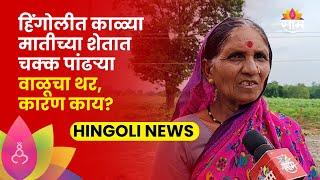 Hingoli Flood News: हिंगोलीला महापुराचा फटका, शेतकरी त्रस्त | SAAM TV