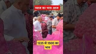 प्याज का भाव आज | onion price today alwar