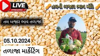 લાઈવ હરાજી તલ   ભાવ બજાર તળાજા | 05-10-202 ||