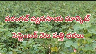 సెప్టెంబర్ నెల వరంగల్ మార్కెట్ పత్తి ధరలు September month warangal cotton rates