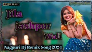 जिला जशपुर वाली || Jila Jashpur Wali || New Nagpuri DJ remix song || Nagpuri dj remix song 2024