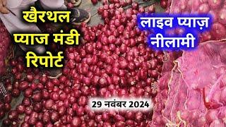 खैरथल मंडी में प्याज का भाव 29 नवंबर 24 | today onion report khairthal Rajasthan