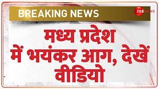 Breaking News: मध्य प्रदेश में भयंकर आग, देखें वीडियो | MP Fire | Guna | Truck | Latest News | Hindi